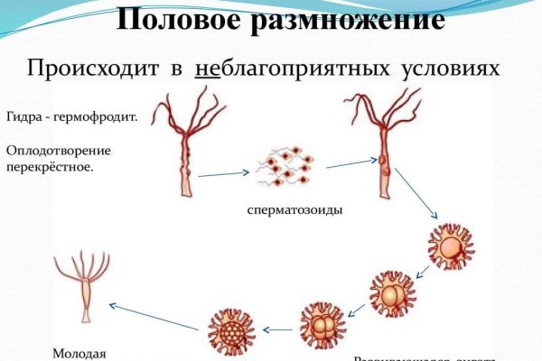 Кракен актуальная ссылка тор