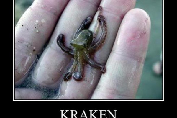 Настоящий сайт kraken